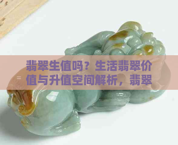 翡翠生值吗？生活翡翠价值与升值空间解析，翡翠生花意涵解读。