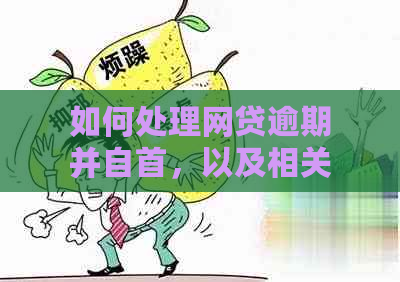 如何处理网贷逾期并自首，以及相关的财产执行要求和解决方案