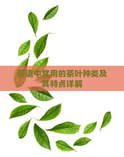 茶道中常用的茶叶种类及其特点详解