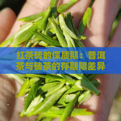 红茶砖的保质期：普洱茶与砖茶的存期限差异解析