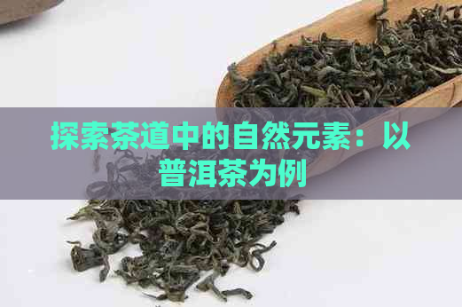 探索茶道中的自然元素：以普洱茶为例