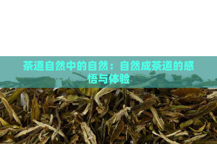 茶道自然中的自然：自然成茶道的感悟与体验