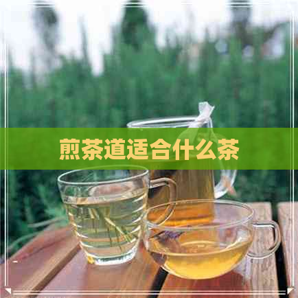 煎茶道适合什么茶