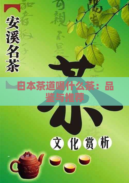 茶道喝什么茶：品鉴与推荐