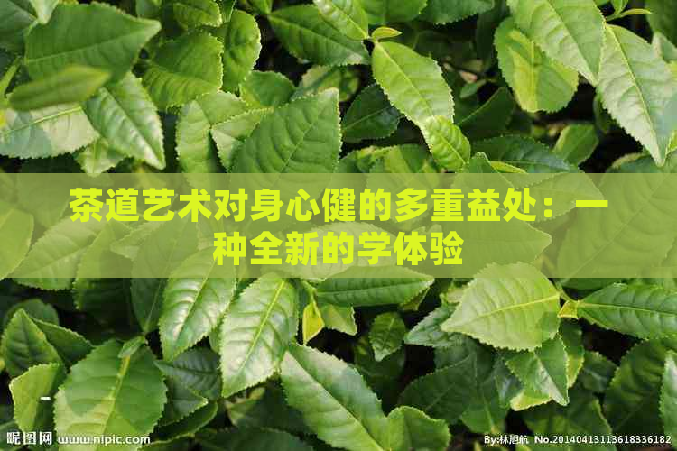 茶道艺术对身心健的多重益处：一种全新的学体验