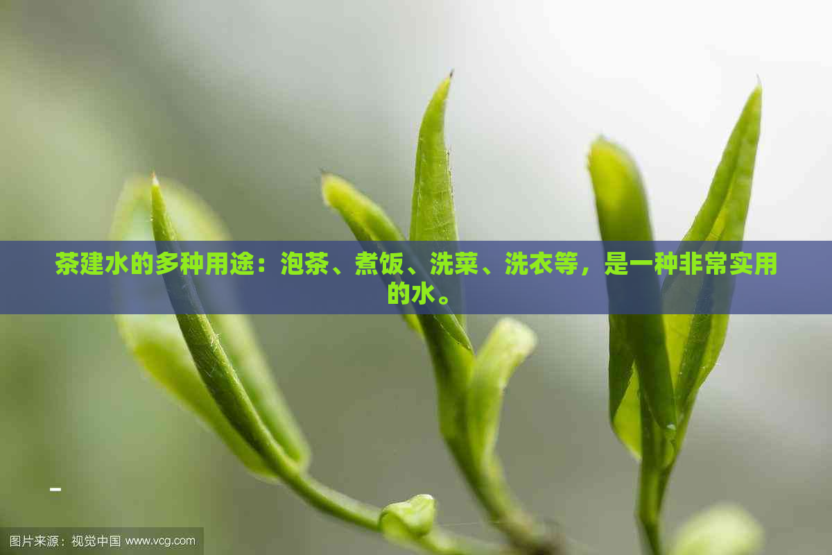 茶建水的多种用途：泡茶、煮饭、洗菜、洗衣等，是一种非常实用的水。