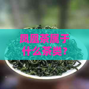 凤凰茶属于什么茶类？