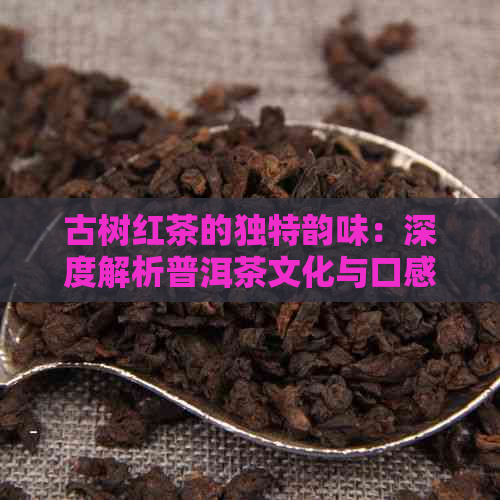 古树红茶的独特韵味：深度解析普洱茶文化与口感体验