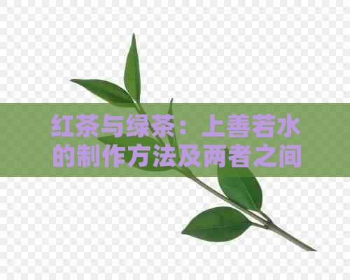 红茶与绿茶：上善若水的制作方法及两者之间的差异解析