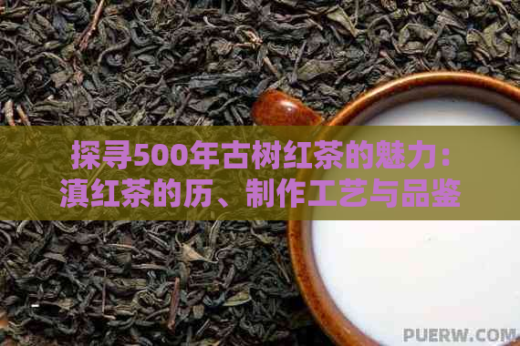 探寻500年古树红茶的魅力：滇红茶的历、制作工艺与品鉴技巧