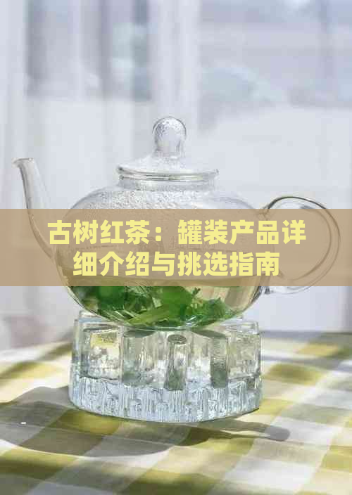 古树红茶：罐装产品详细介绍与挑选指南