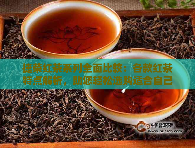 捷荣红茶系列全面比较：各款红茶特点解析，助您轻松选购适合自己的红茶