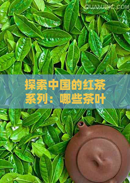 探索中国的红茶系列：哪些茶叶属于红茶范畴？