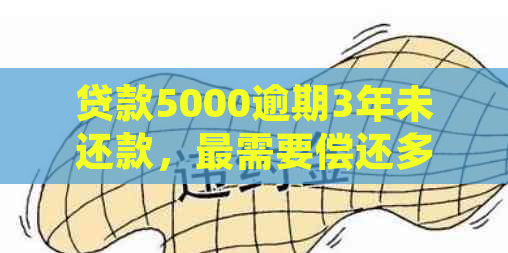 贷款5000逾期3年未还款，最需要偿还多少利息和本金？