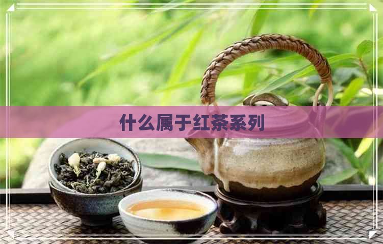 什么属于红茶系列