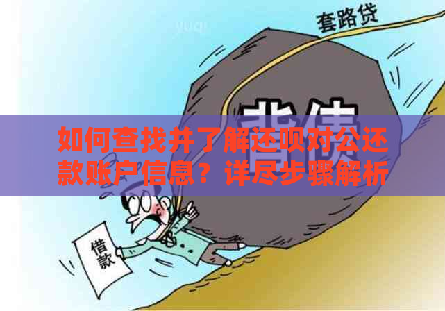 如何查找并了解还呗对公还款账户信息？详尽步骤解析