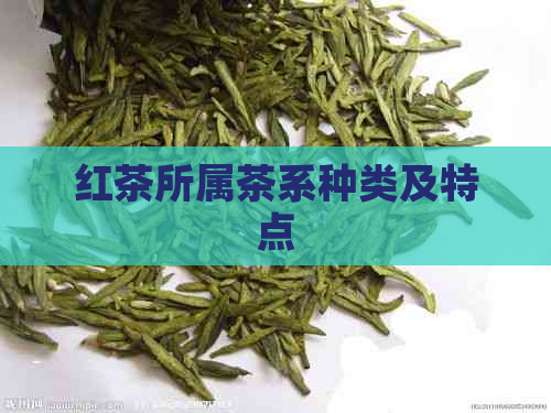 红茶所属茶系种类及特点