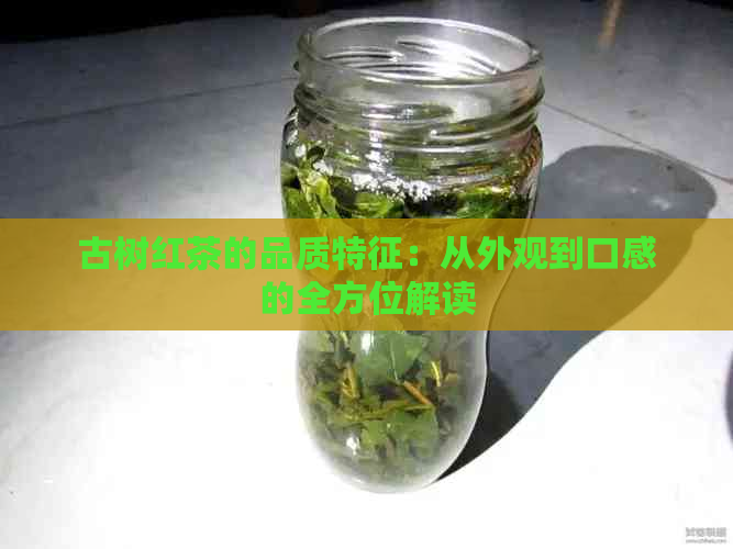 古树红茶的品质特征：从外观到口感的全方位解读