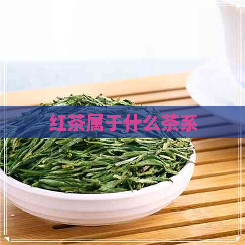 红茶属于什么茶系