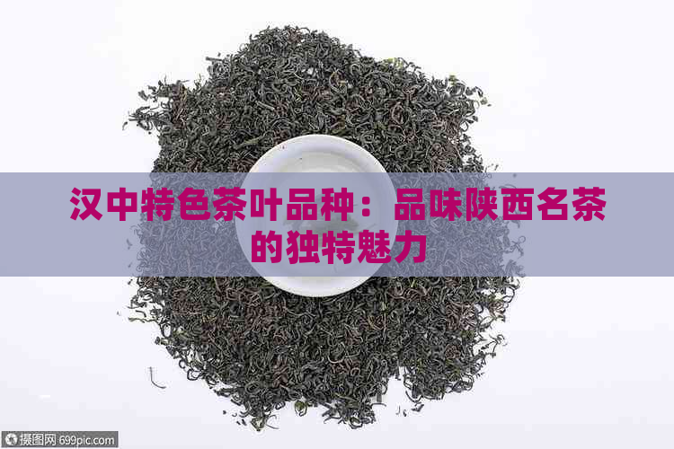 汉中特色茶叶品种：品味陕西名茶的独特魅力