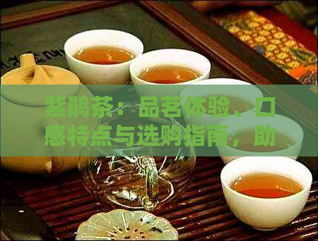 紫鹃茶：品茗体验、口感特点与选购指南，助您全面了解这款中国名茶