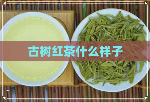 古树红茶什么样子