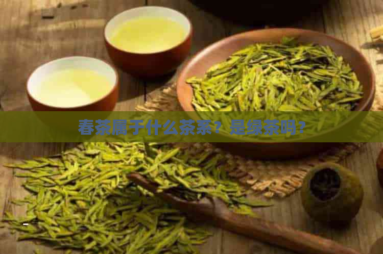 春茶属于什么茶系？是绿茶吗？