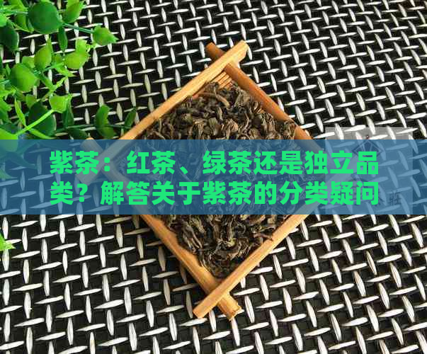 紫茶：红茶、绿茶还是独立品类？解答关于紫茶的分类疑问