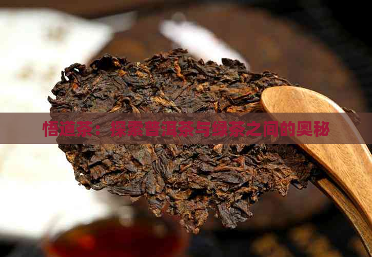 悟道茶：探索普洱茶与绿茶之间的奥秘