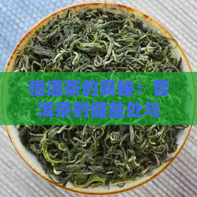 悟道茶的奥秘：普洱茶的健益处与独特风味