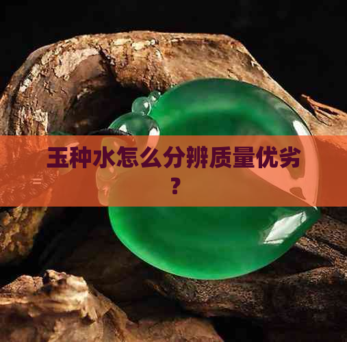 玉种水怎么分辨质量优劣？