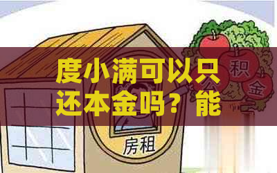 度小满可以只还本金吗？能否只还本金？度小满部分还款可行吗？