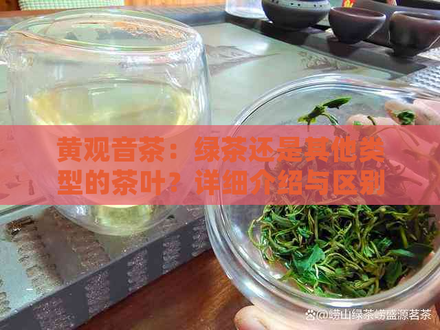 黄观音茶：绿茶还是其他类型的茶叶？详细介绍与区别