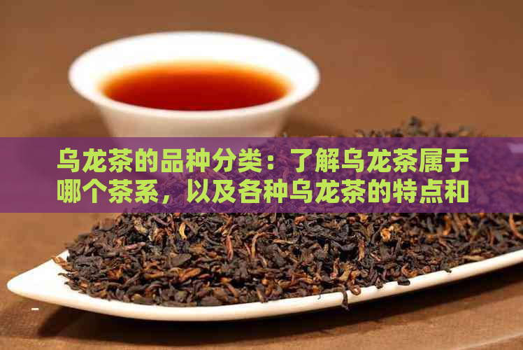 乌龙茶的品种分类：了解乌龙茶属于哪个茶系，以及各种乌龙茶的特点和口感