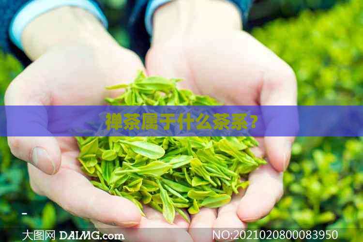 禅茶属于什么茶系？