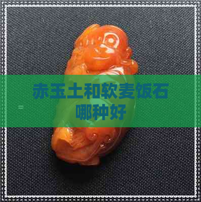 赤玉土和软麦饭石哪种好