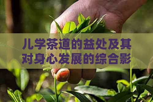 儿学茶道的益处及其对身心发展的综合影响