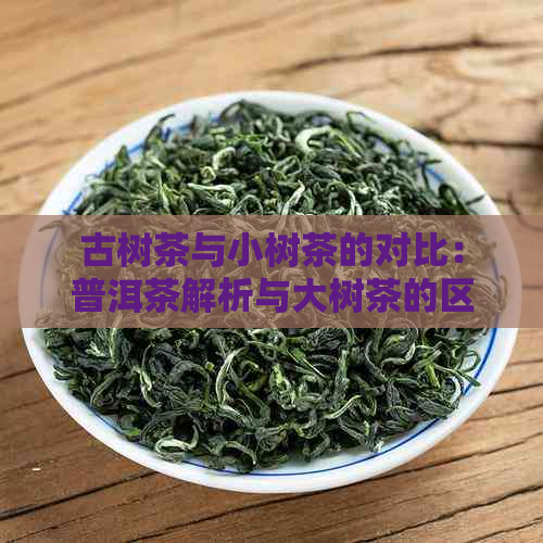 古树茶与小树茶的对比：普洱茶解析与大树茶的区别