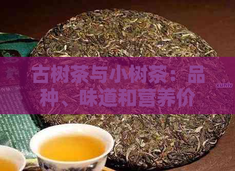 古树茶与小树茶：品种、味道和营养价值的全面对比分析