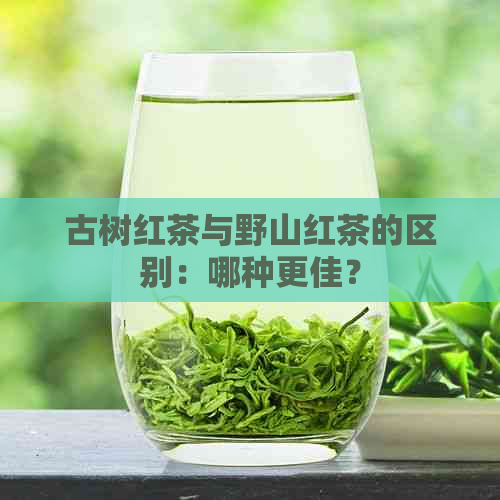 古树红茶与野山红茶的区别：哪种更佳？