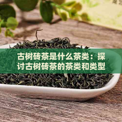 古树砖茶是什么茶类：探讨古树砖茶的茶类和类型