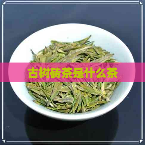 古树砖茶是什么茶