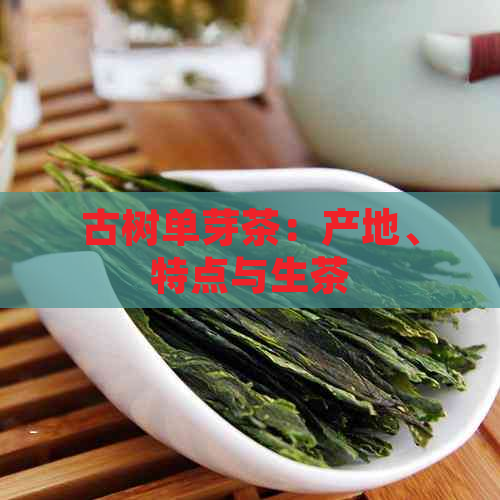 古树单芽茶：产地、特点与生茶