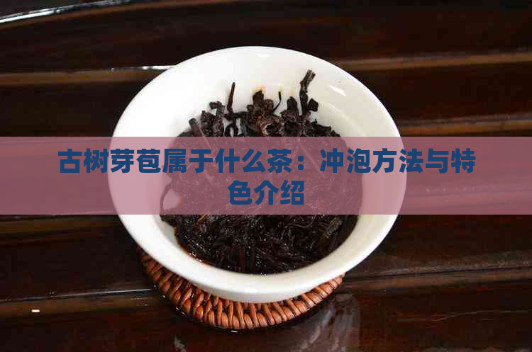 古树芽苞属于什么茶：冲泡方法与特色介绍