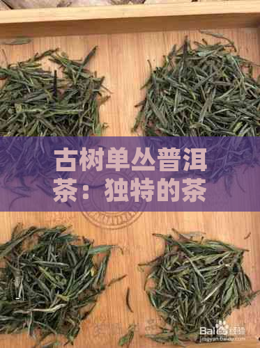 古树单丛普洱茶：独特的茶类与属于茶叶的奥秘