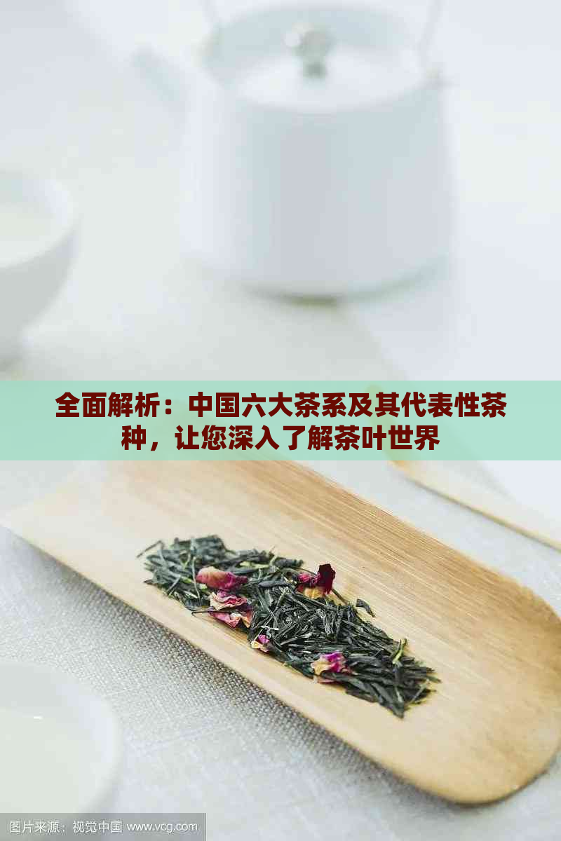 全面解析：中国六大茶系及其代表性茶种，让您深入了解茶叶世界