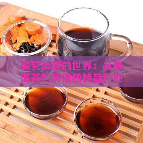 探究清茶的世界：从普洱茶到其他独特品种的名称与区别