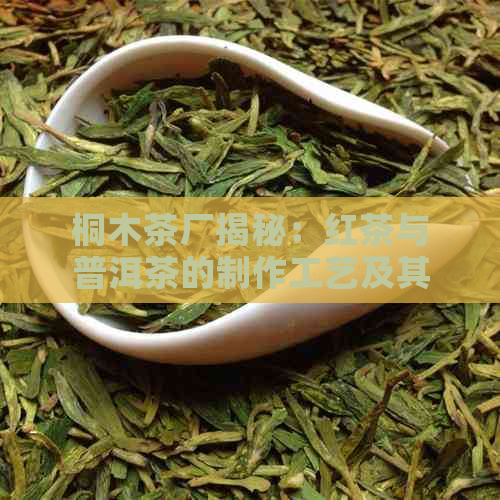 桐木茶厂揭秘：红茶与普洱茶的制作工艺及其排名