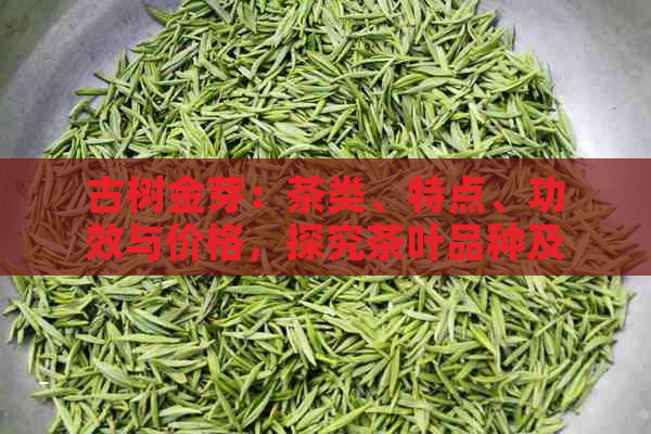 古树金芽：茶类、特点、功效与价格，探究茶叶品种及起源。