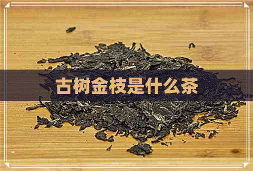 古树金枝是什么茶